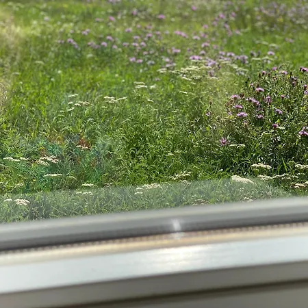 Vila Rannakivi Puhkemaja