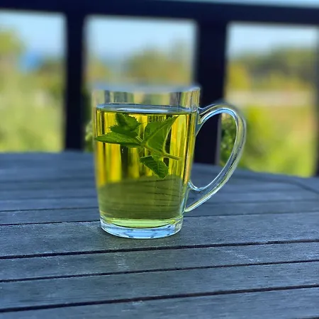 Rannakivi Puhkemaja *