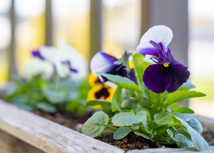 Villa Rannakivi Puhkemaja