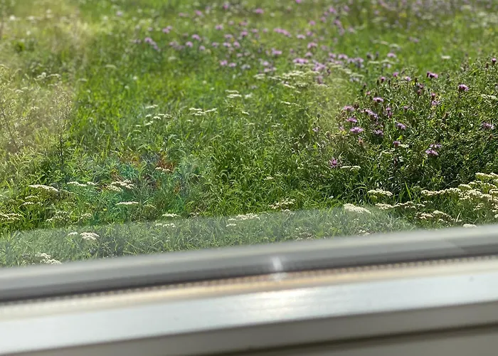 Villa Rannakivi Puhkemaja