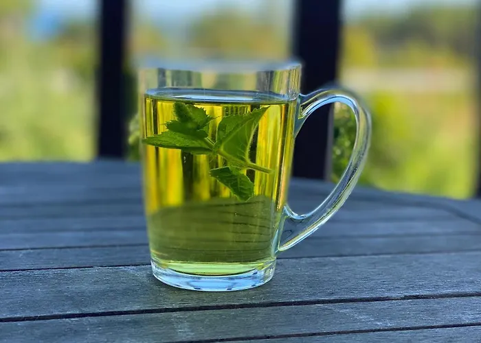 Rannakivi Puhkemaja *